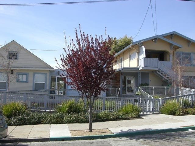 Tree in front of two houses with fences and ramps
