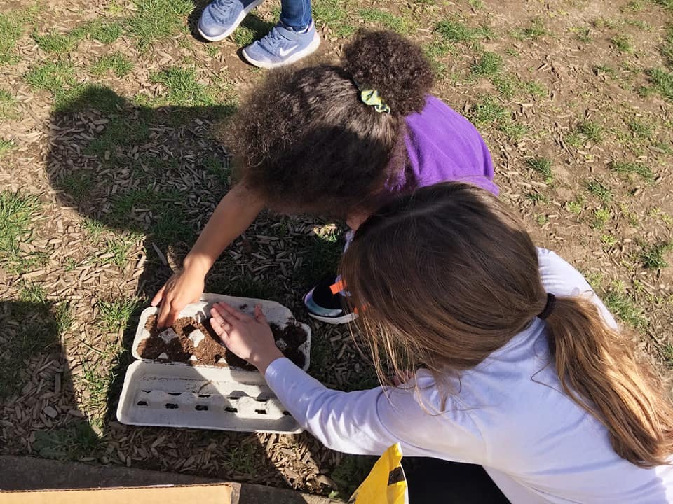 Two children placing items into an egg carton outdoors