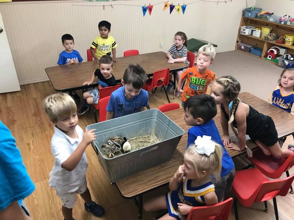 Children gathered around a container with small animals inside