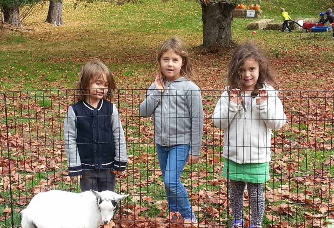 Three children and a goat behind a fence