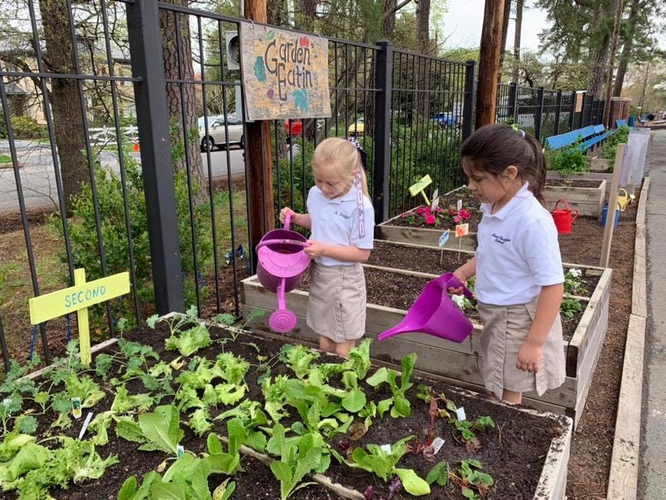 Two children watering plants in a garden
