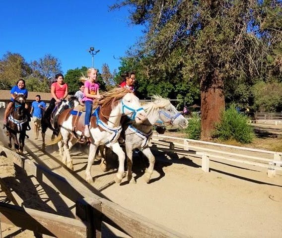 Griffith Park Pony Rides in Los Angeles Parent Reviews on Winnie