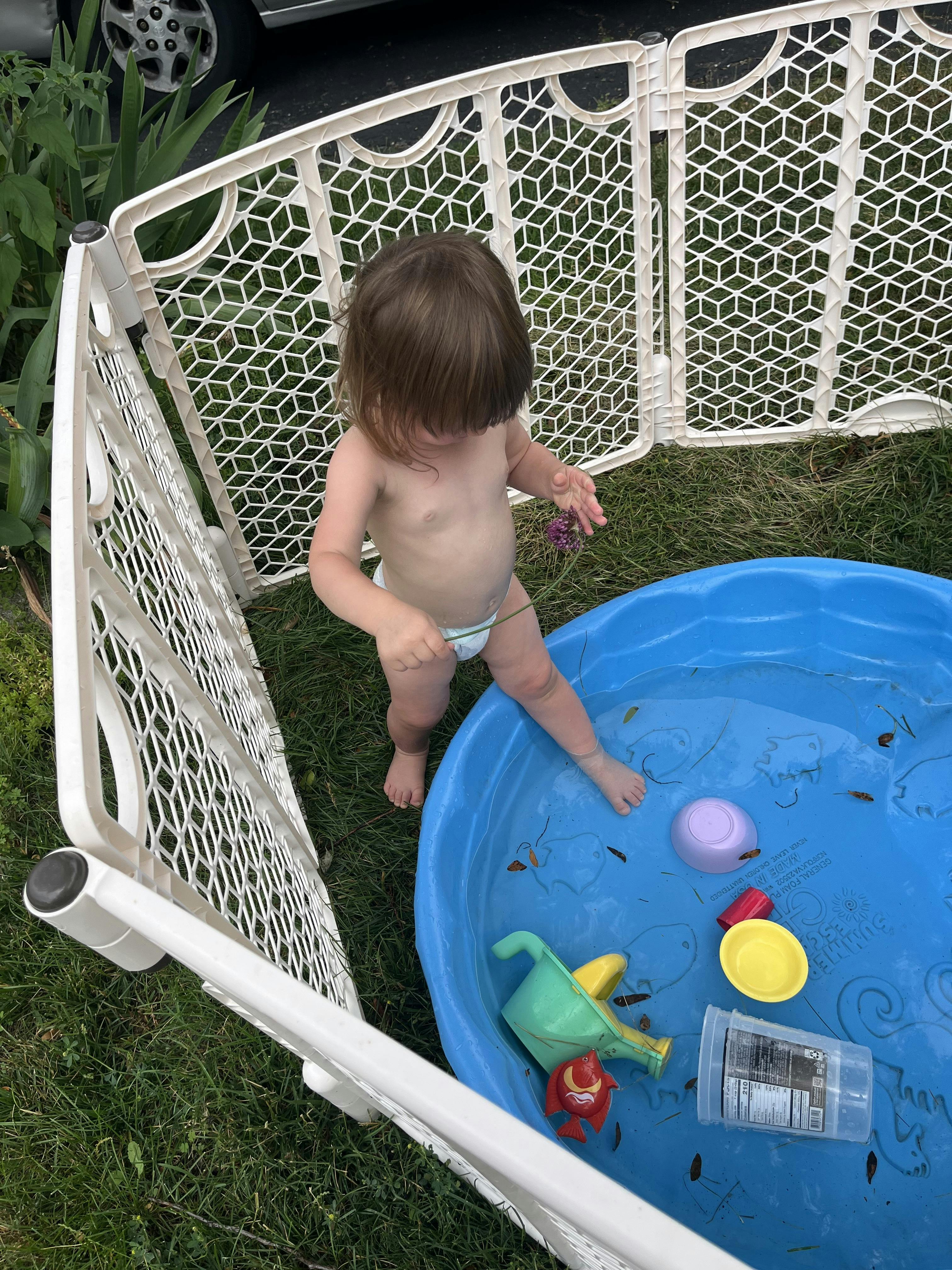 Child standing next to a blue kiddie pool with toys