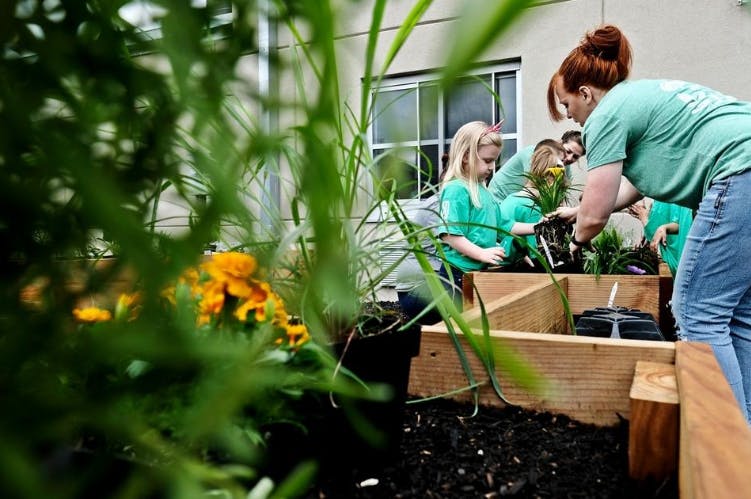 People and children planting in raised garden beds