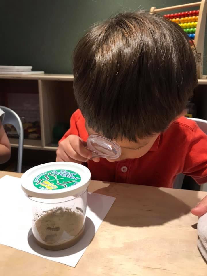 Green Sprout Learning Daycare in Denver, CO Winnie