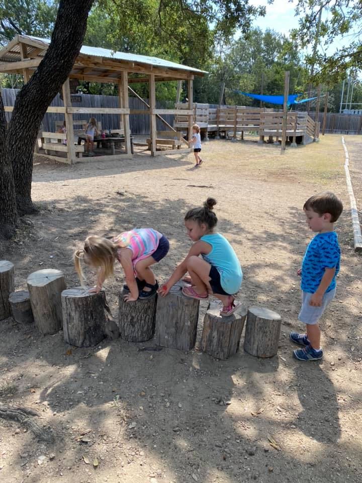 Children playing on tree stumps outdoors
