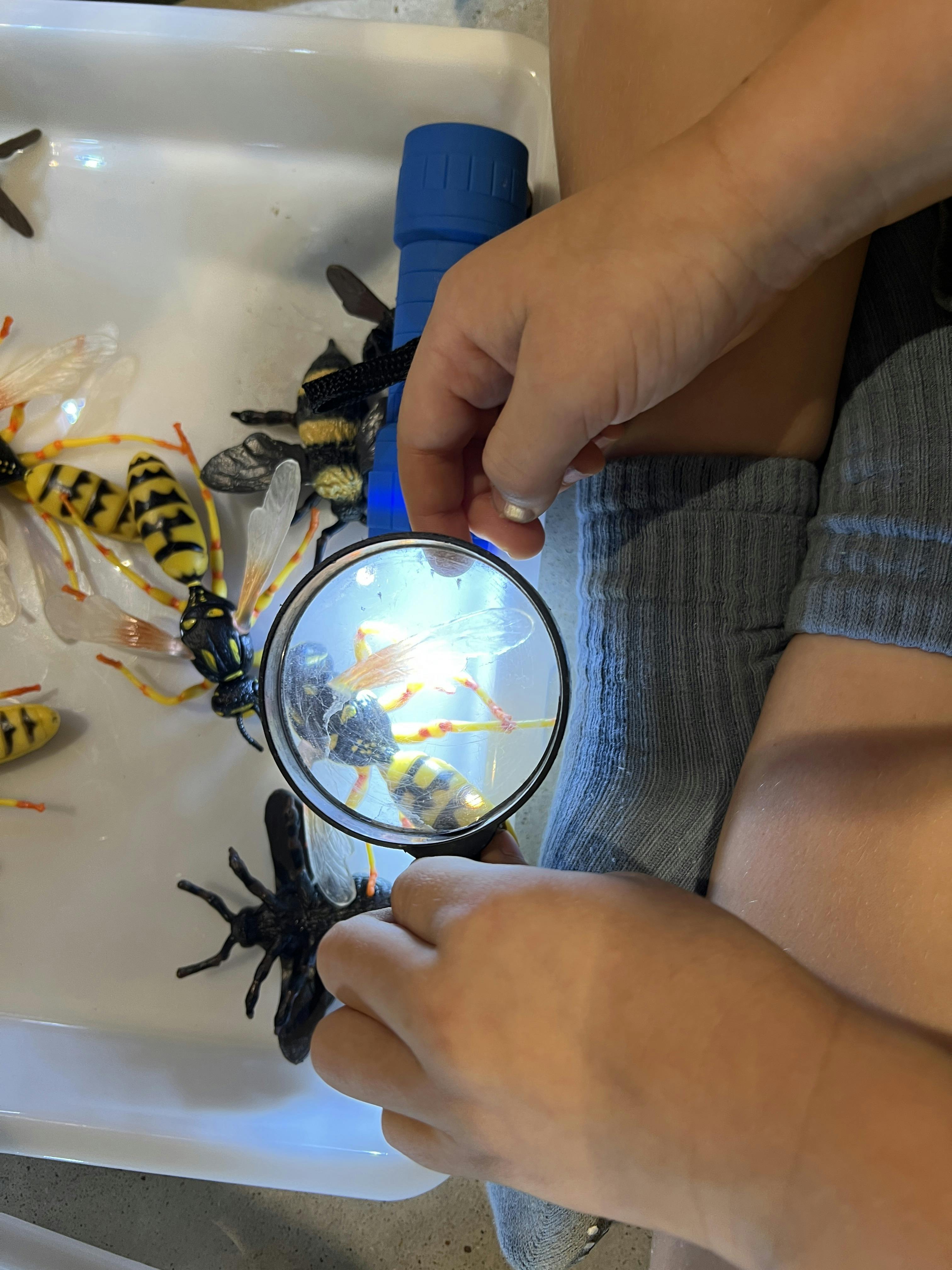 Child examining a toy insect with a magnifying glass and flashlight