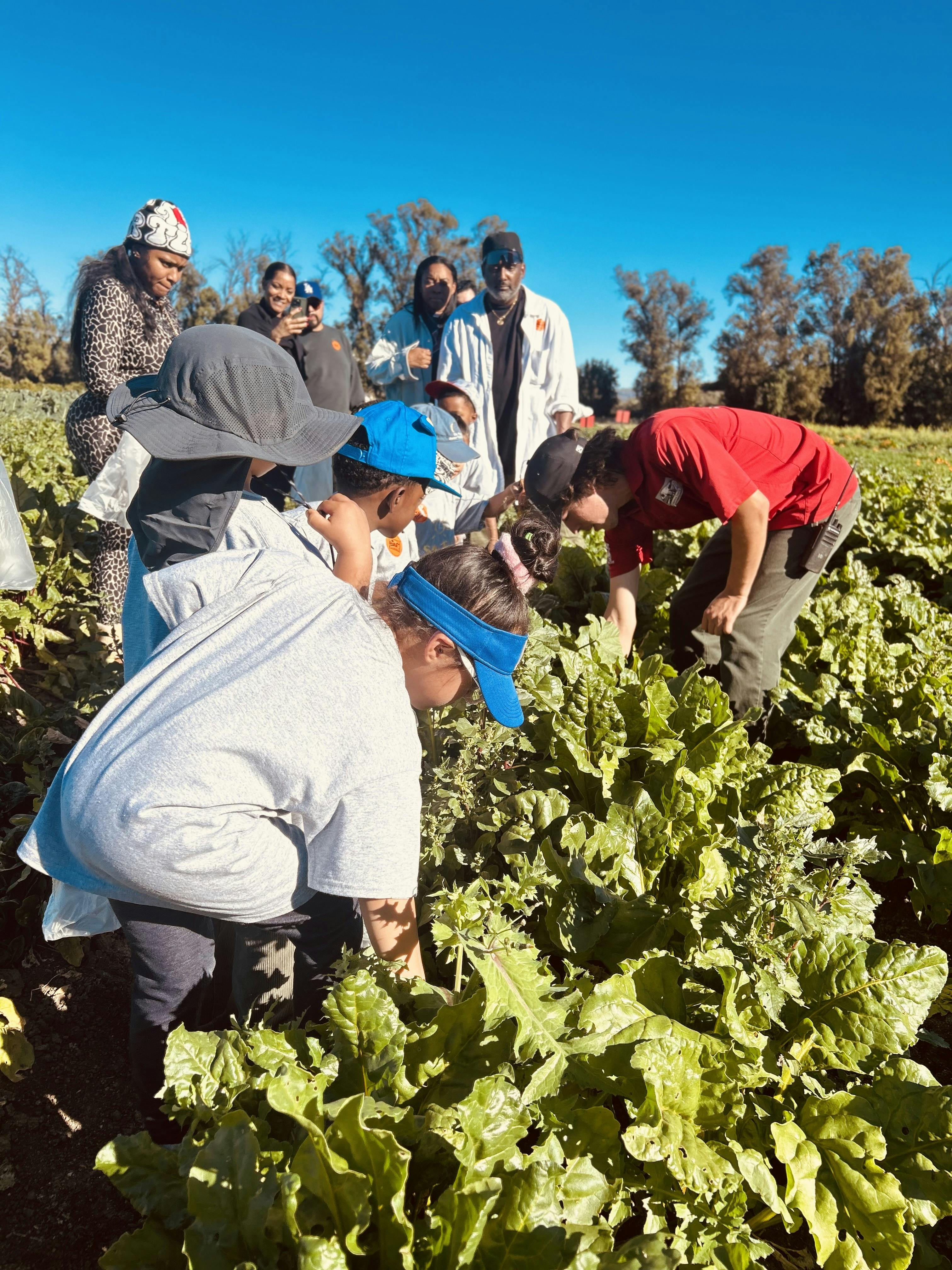 People and children harvesting crops in a field