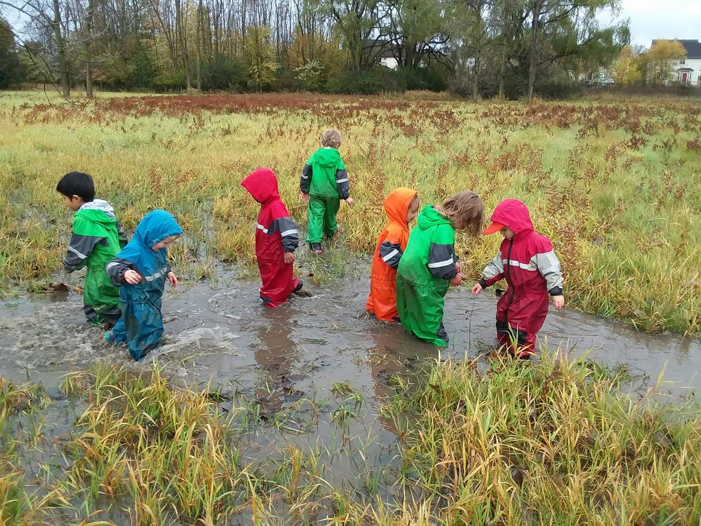 Elements Preschool for Natural Learning in Ann Arbor, MI