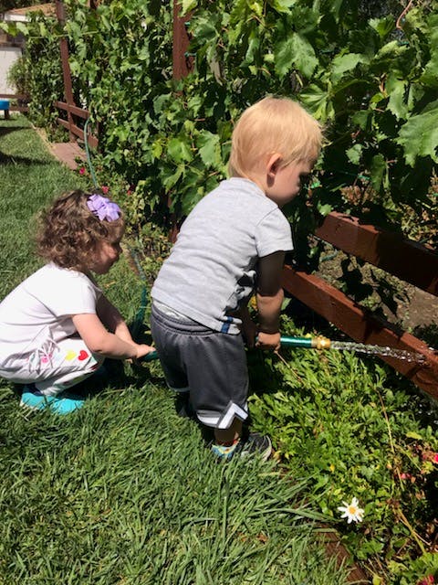 Two children watering plants with a hose in a garden