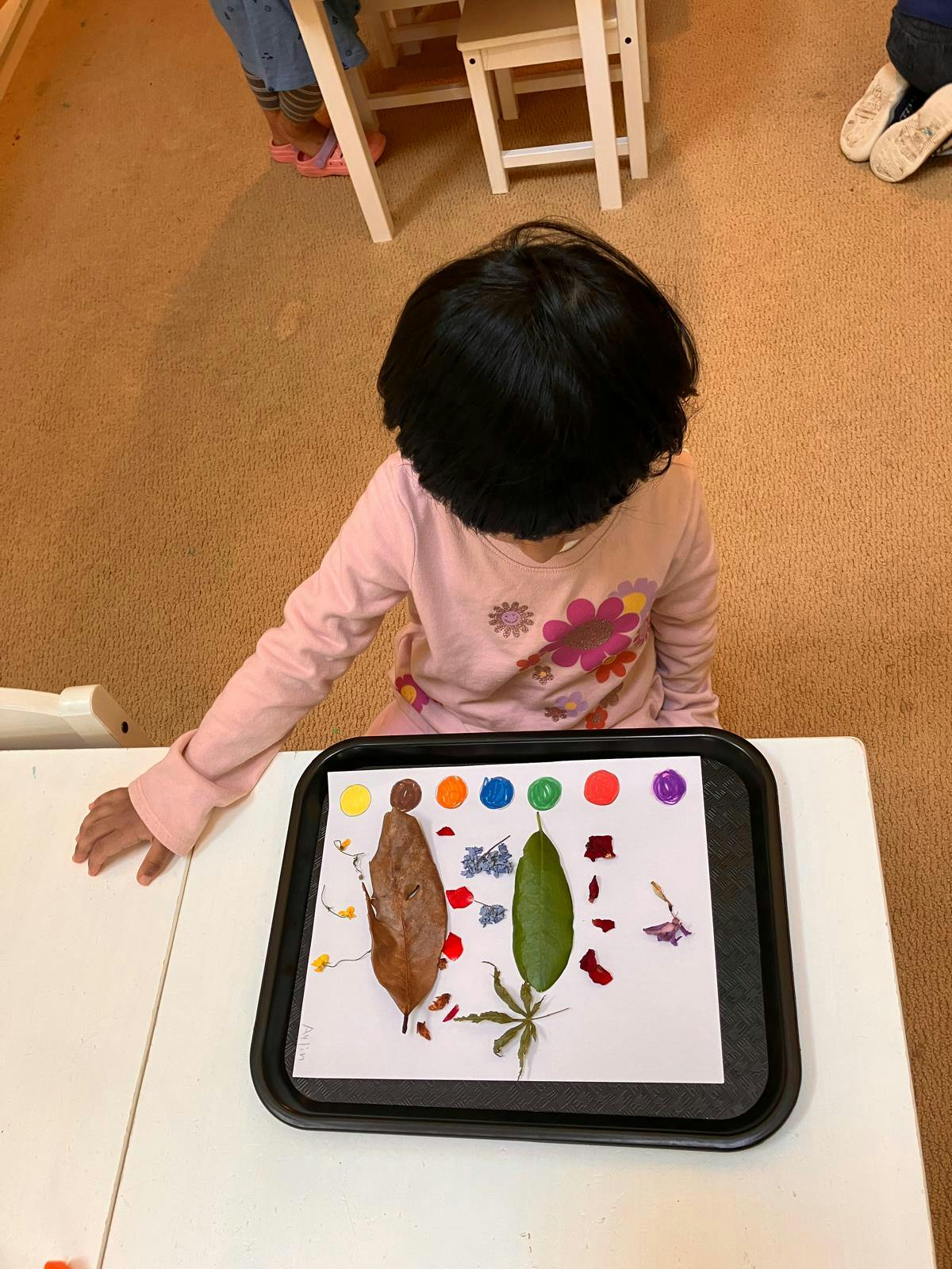 Child organizing leaves and flower petals on paper with paint dabs