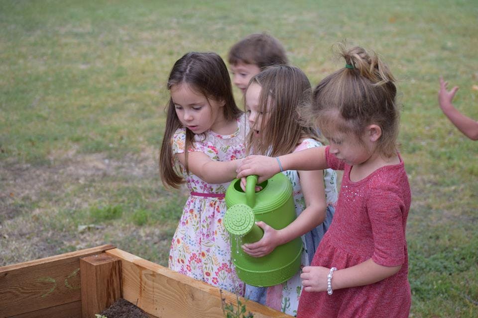 Children watering plants in a raised garden bed