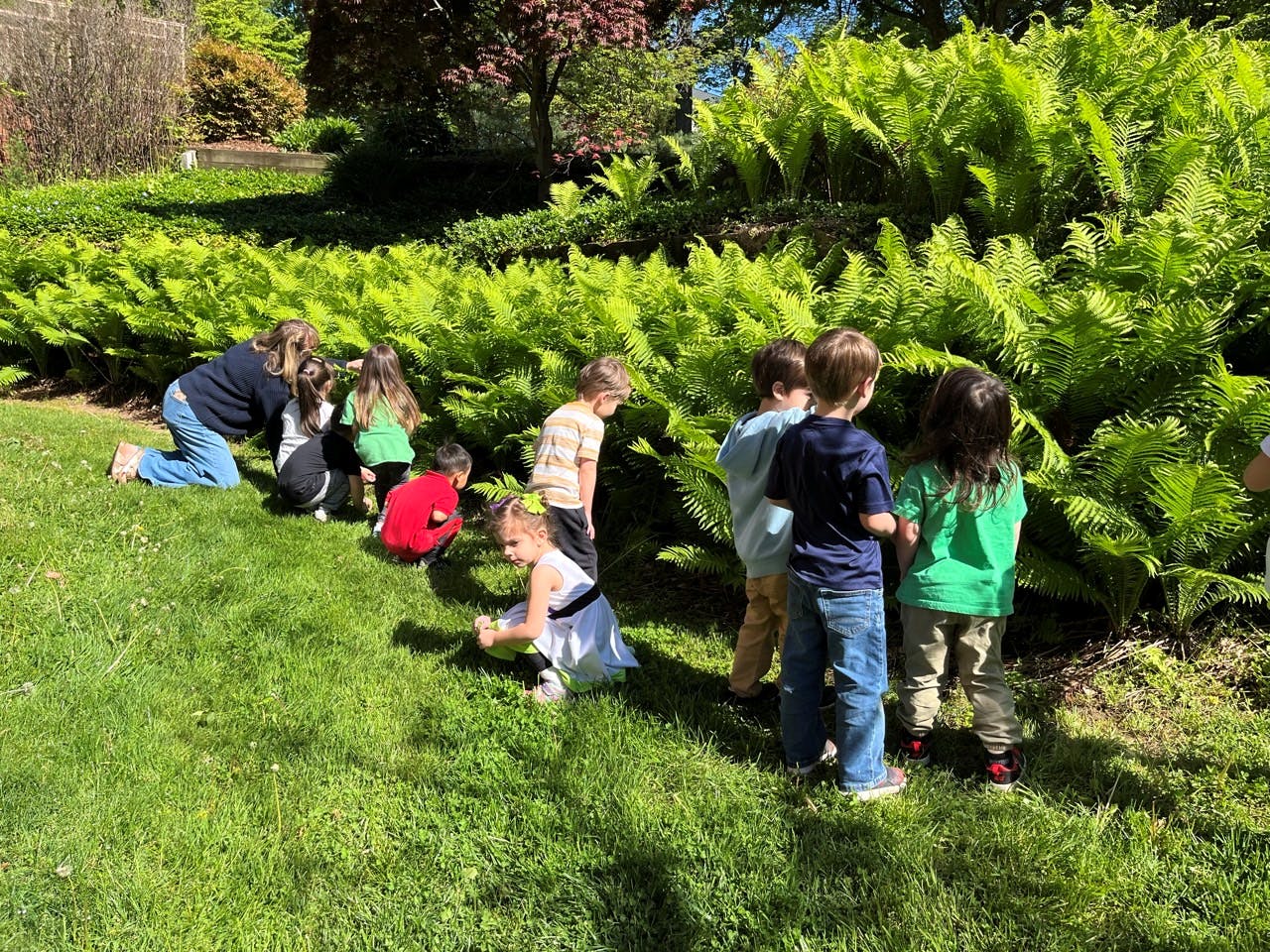 Children playing in a grassy area near large green ferns