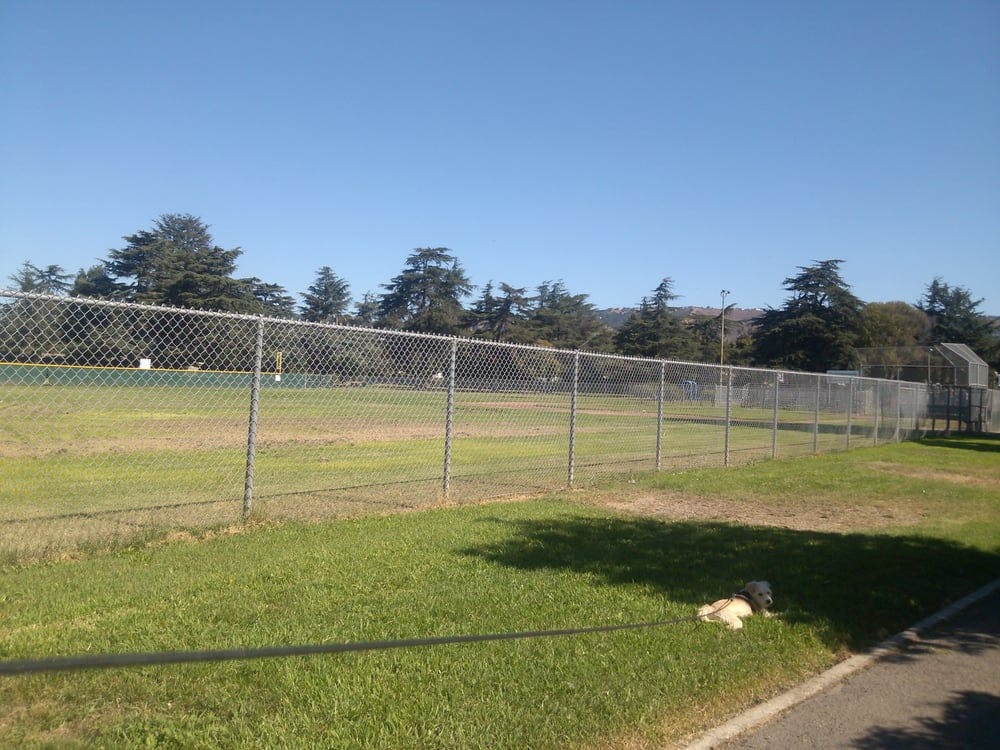 Chain link fence around a grassy field with trees in the background