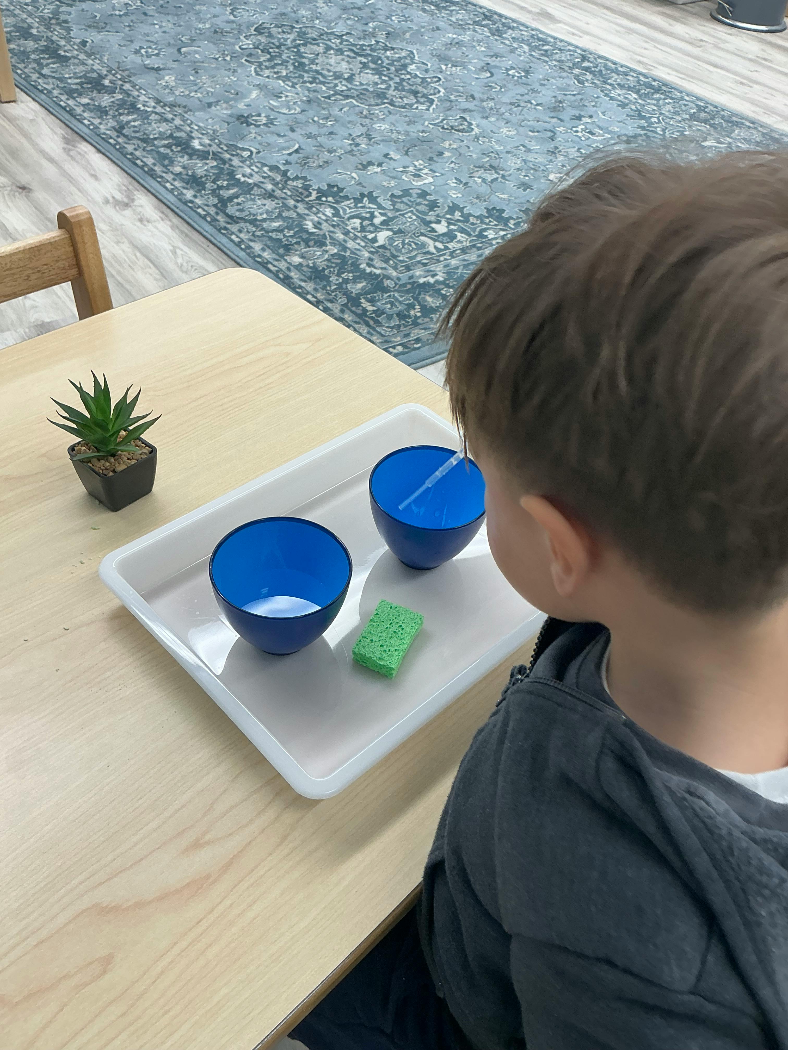 Child looking at two blue bowls and a green sponge on a white tray
