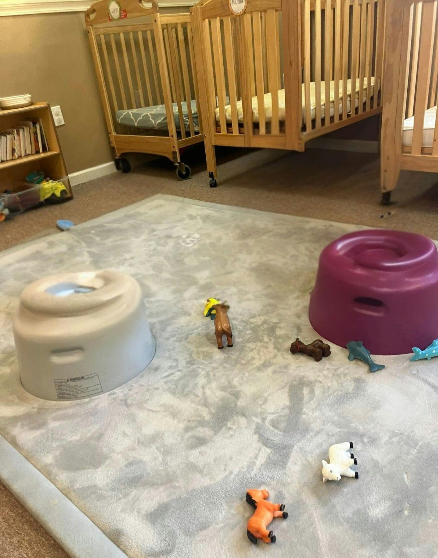 Playroom with two small cribs, two potty training chairs, and animal figurines on a mat