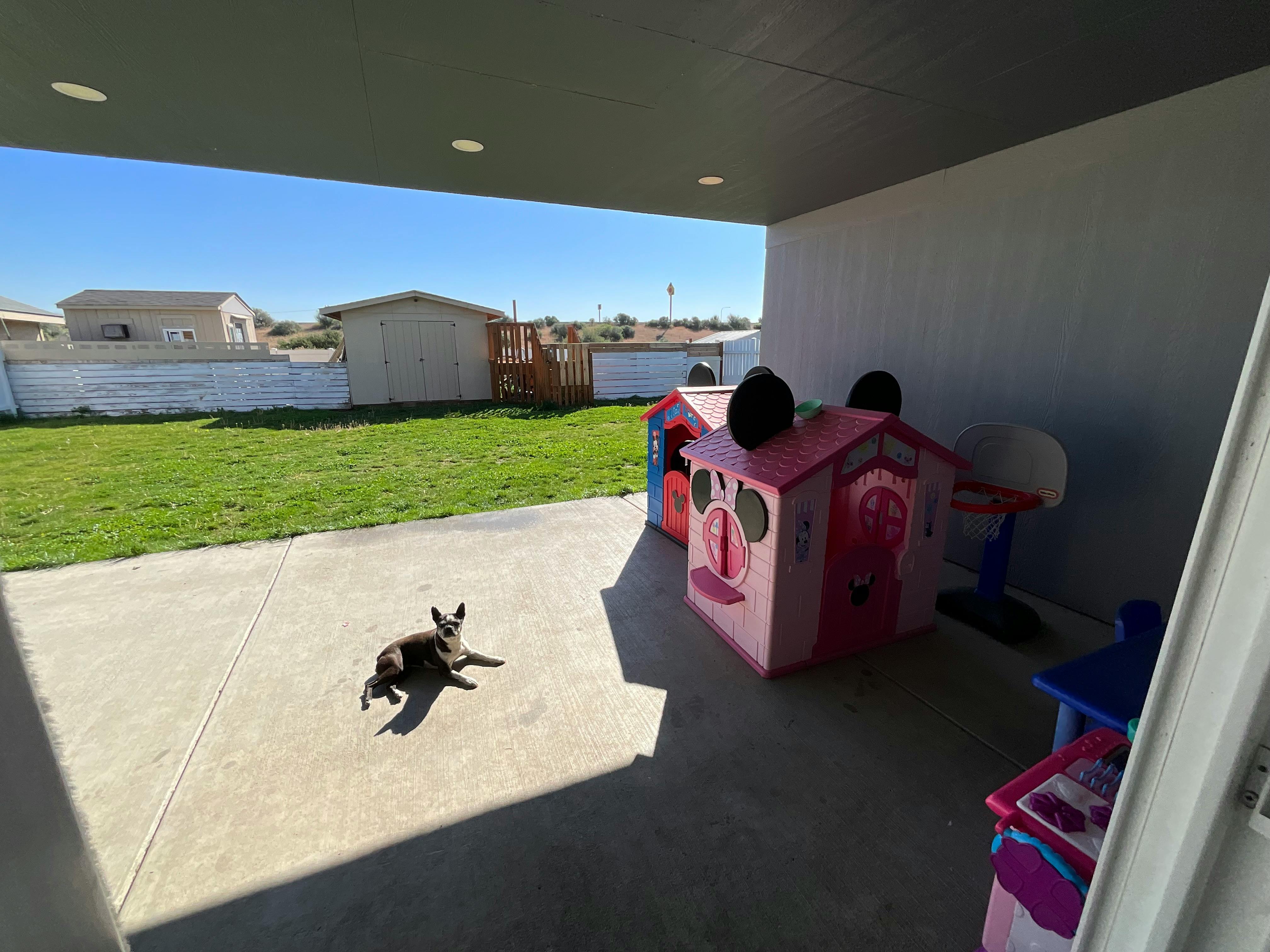 Dog lying on a patio next to two playhouses
