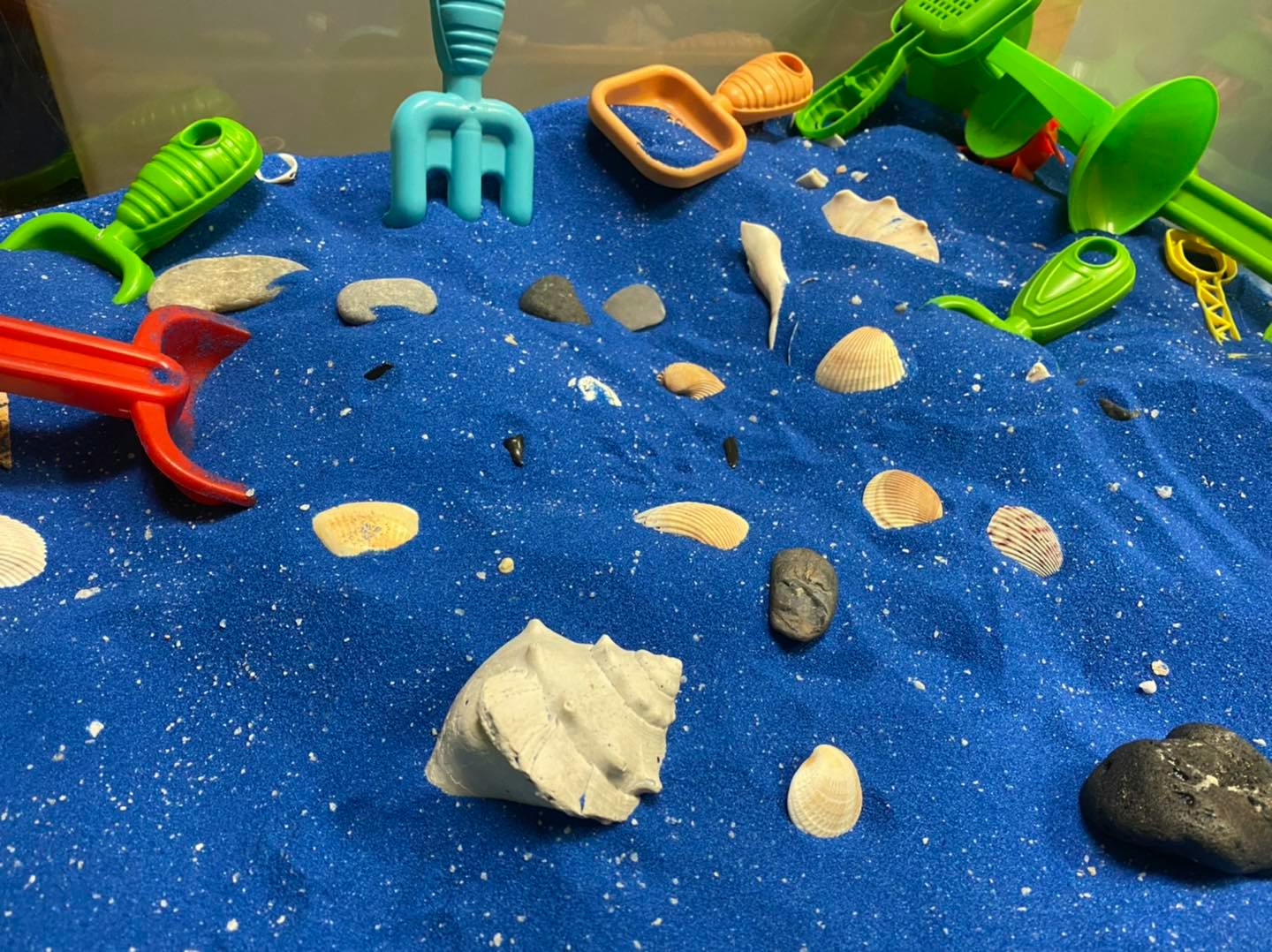 Sand play with blue sand, shells, rocks, and plastic toys