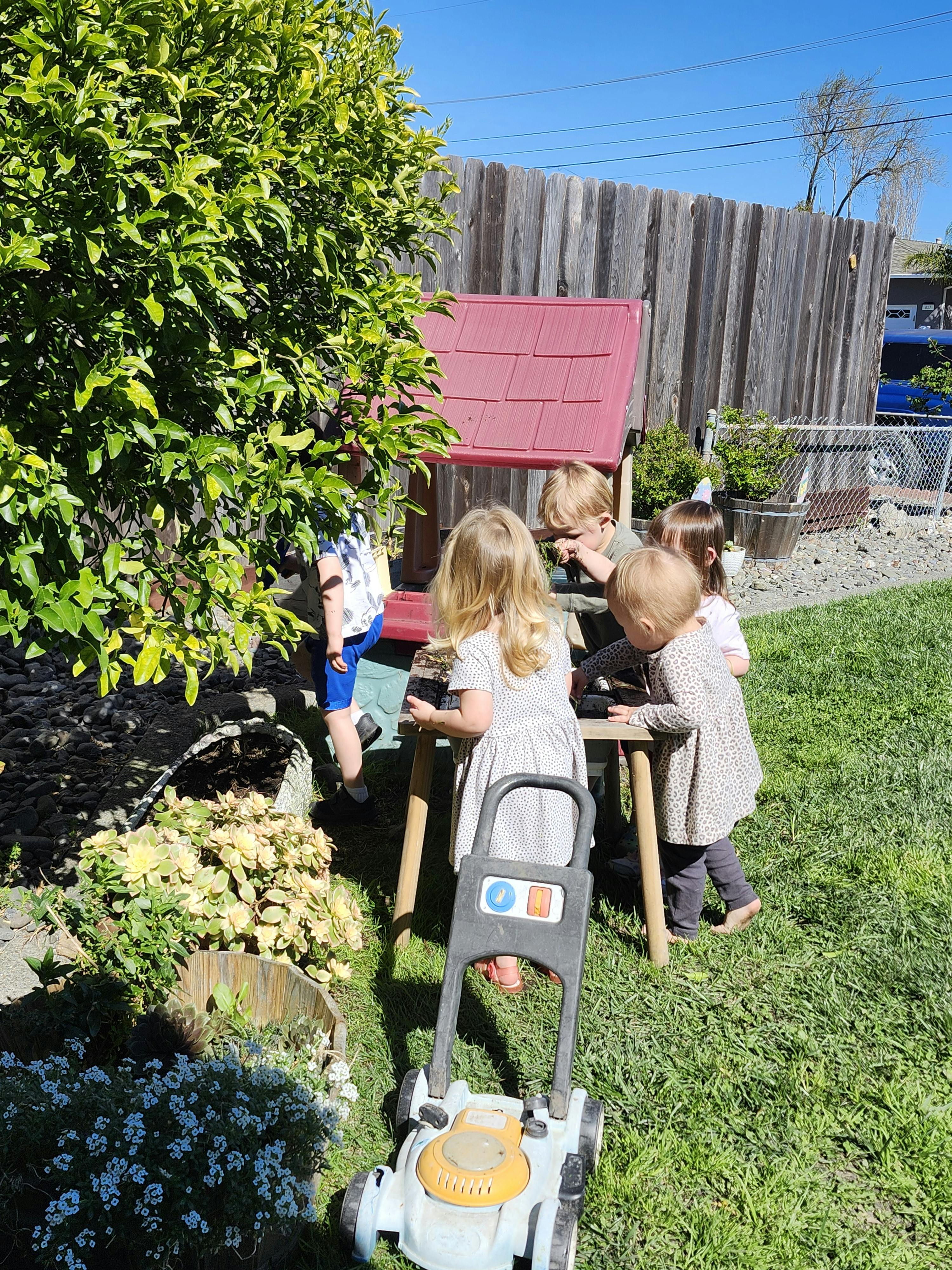 Several children playing with toys in a sunny backyard
