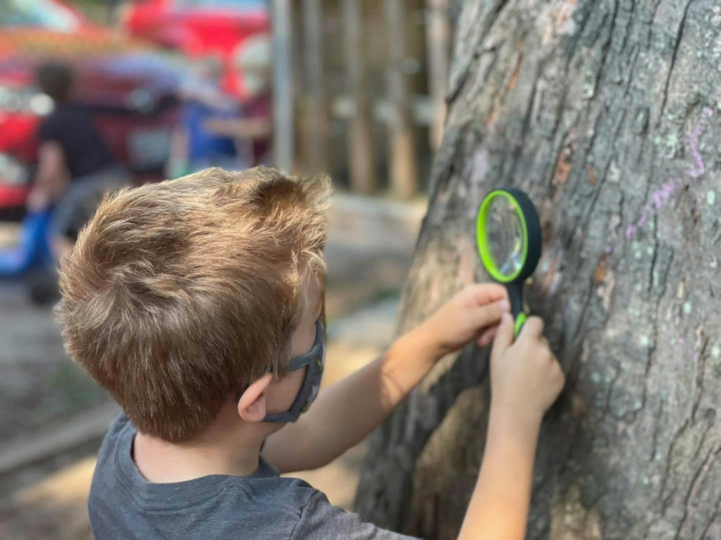 Child with a magnifying glass examining a tree trunk