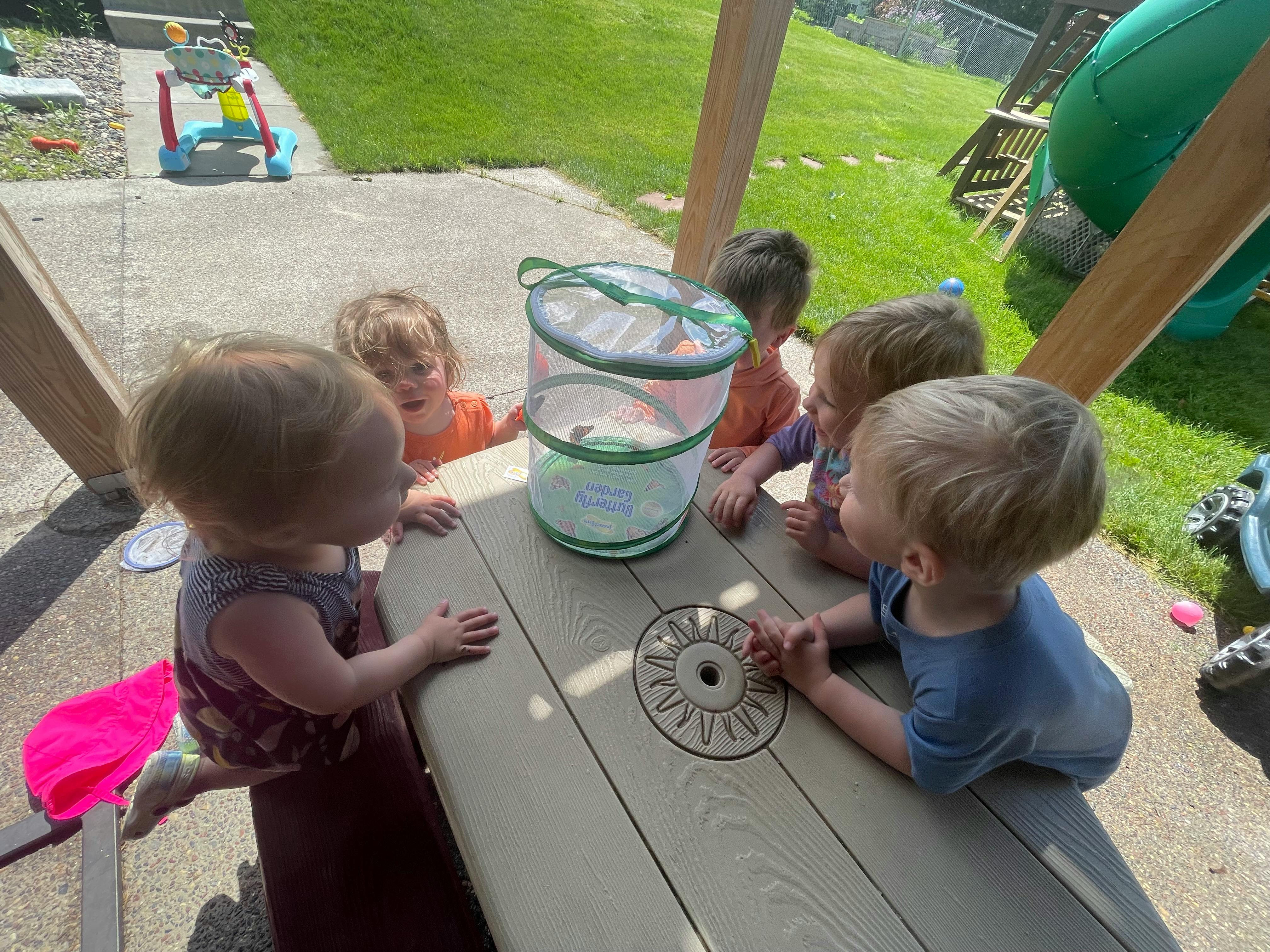 Children gathered around a table with a butterfly habitat