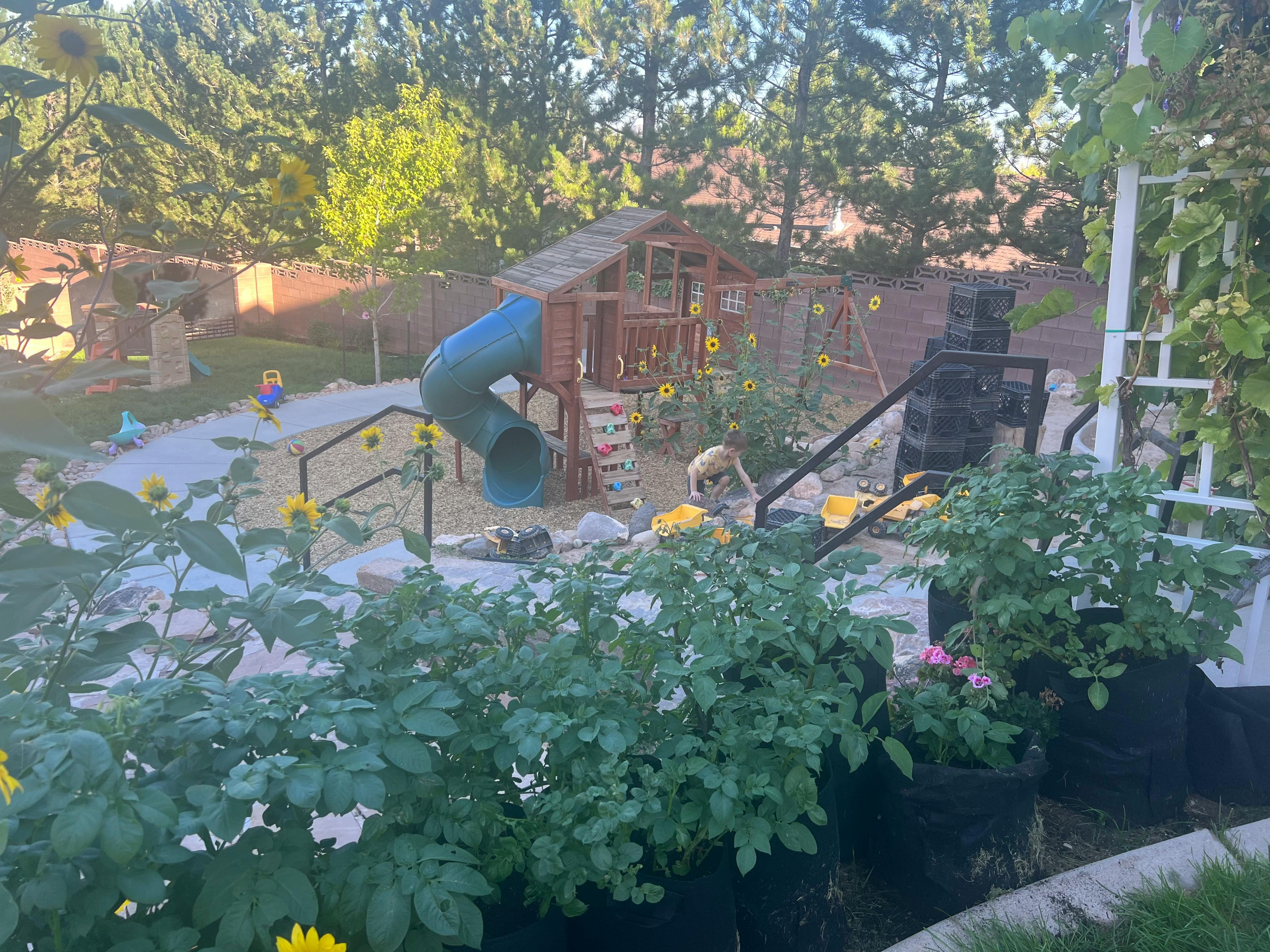 Playground with a wooden structure and blue slide, surrounded by plants