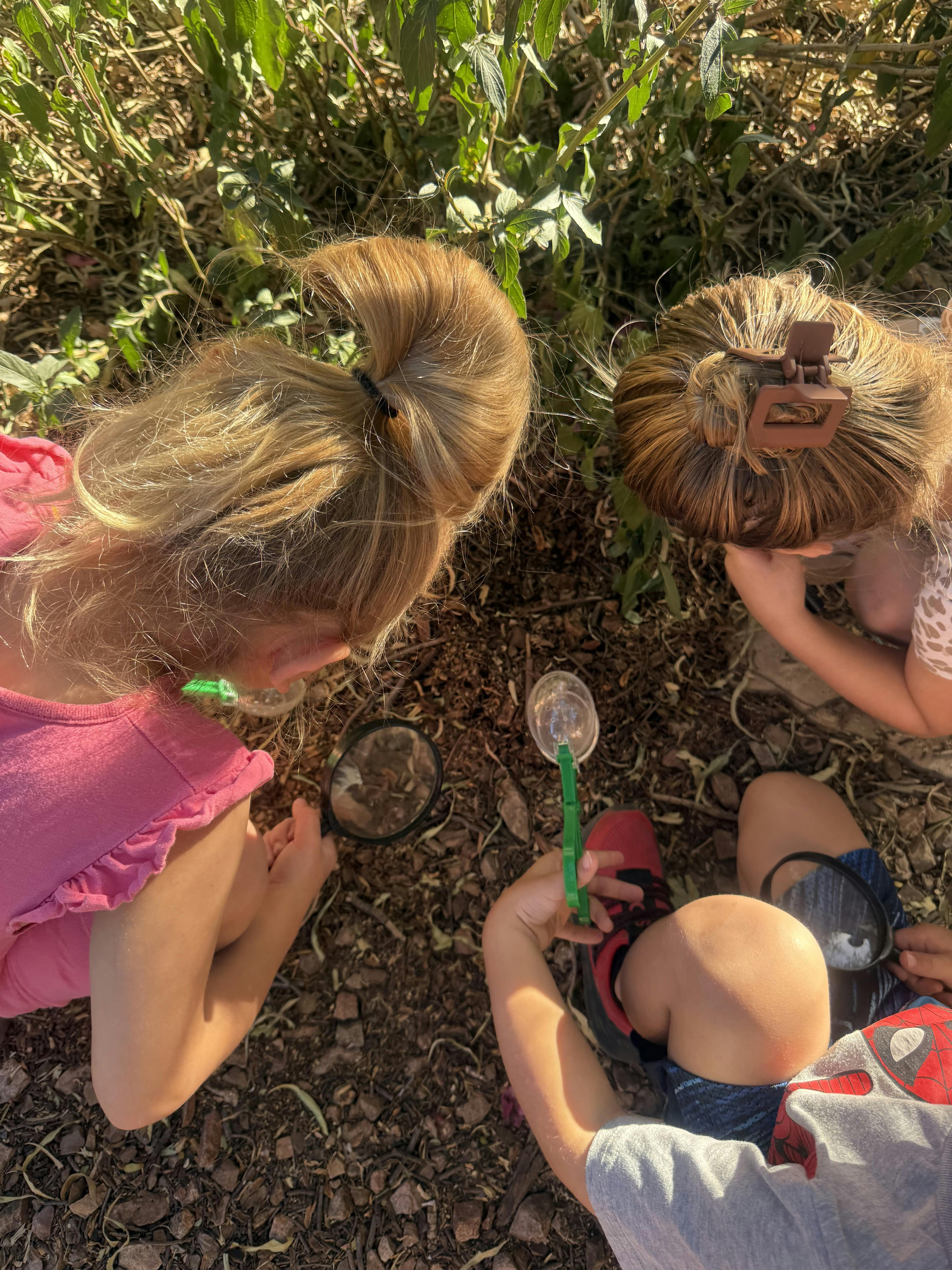 Three children looking through magnifying glasses at the ground