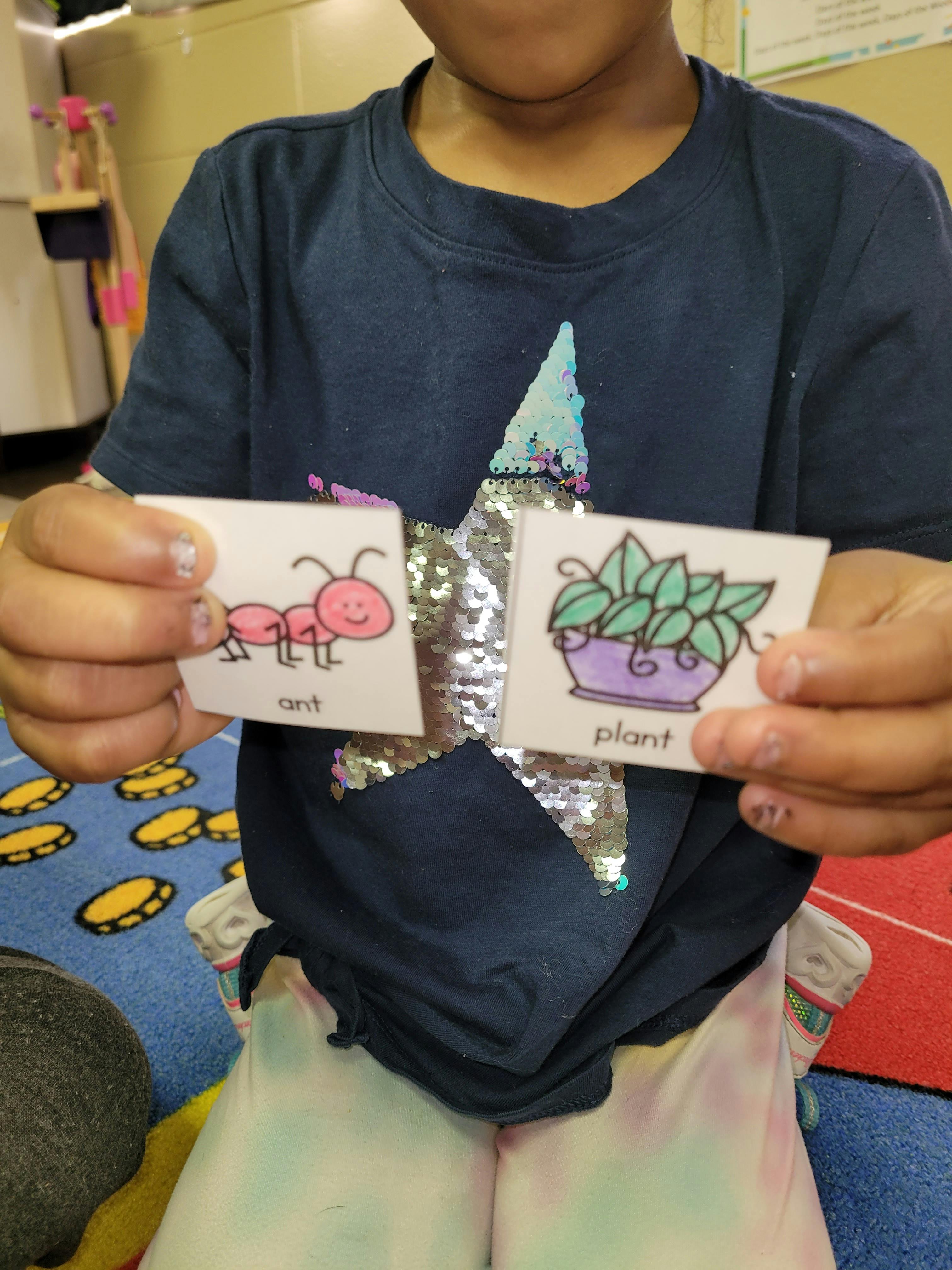 Child holding two cards, one with an ant and one with a plant