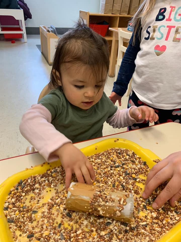 Child playing with birdseed in a yellow tray