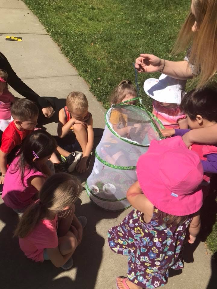 Children gathered around a mesh butterfly habitat outdoors
