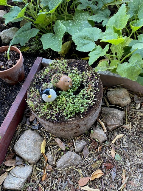 Small animal figurines in a circular planter with sprouts