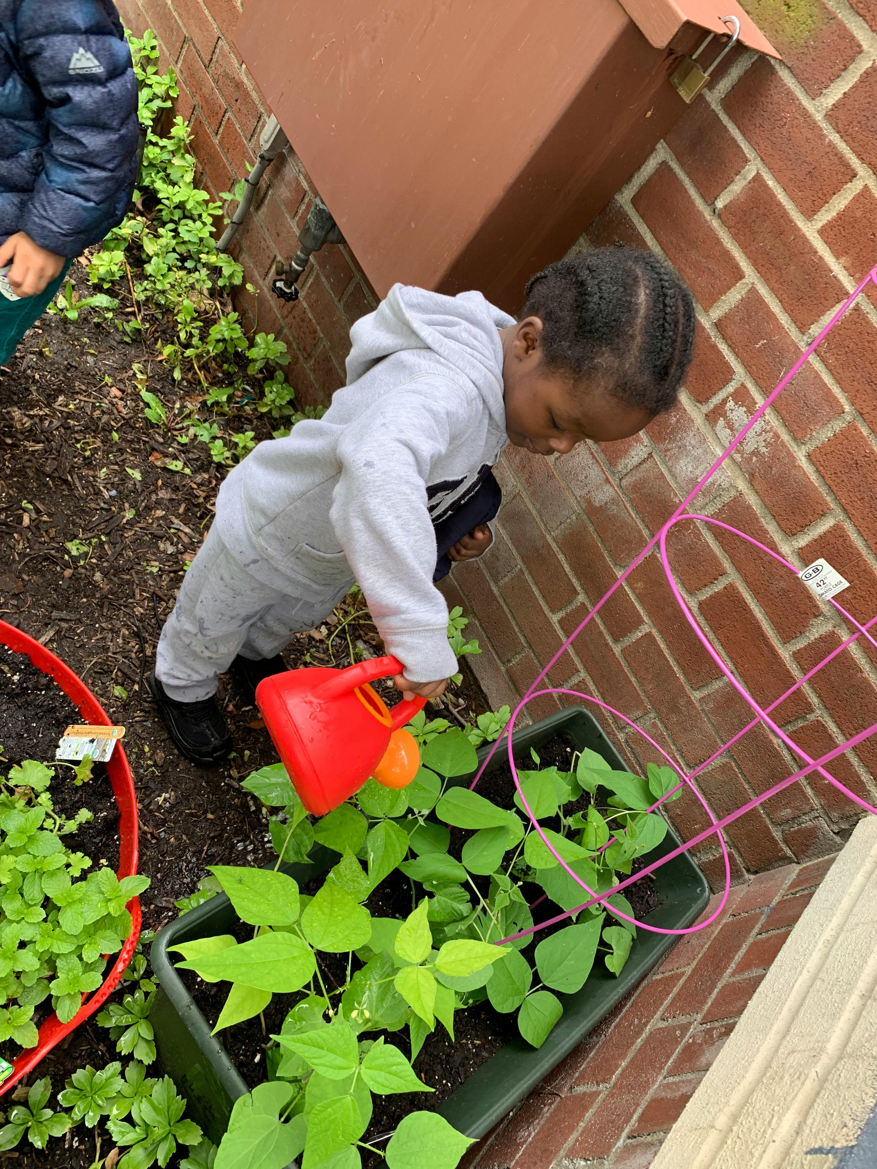 Child watering plants with a red watering can