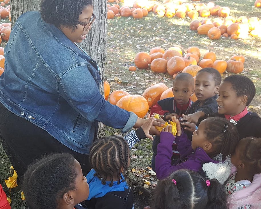 Person in denim jacket handing a small pumpkin to a group of children