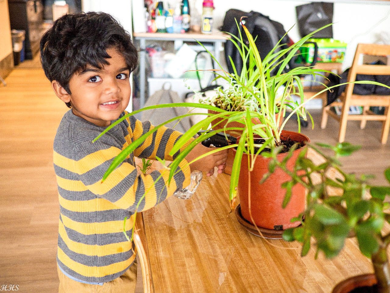 Child in striped shirt touching a potted plant