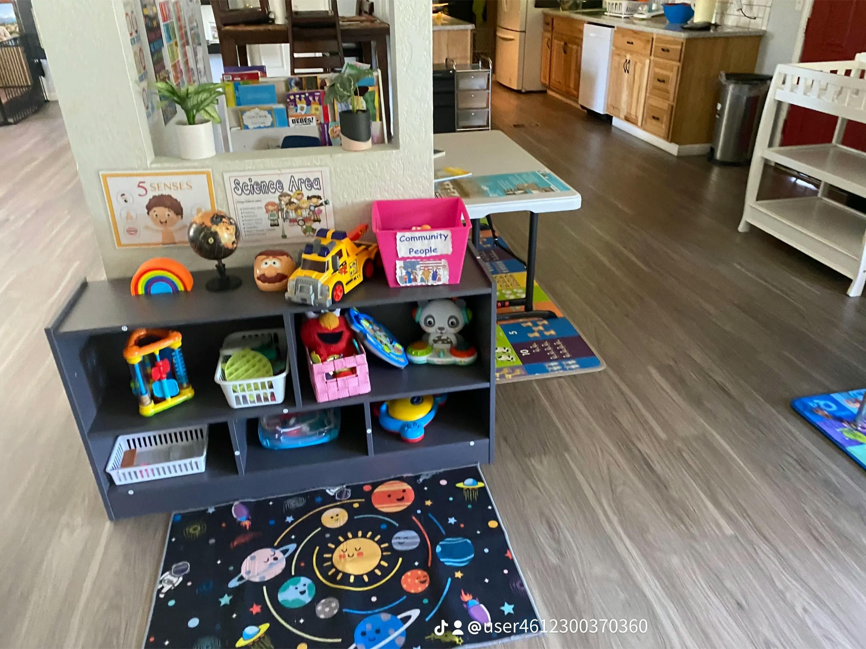 Toy shelf with various toys and a solar system rug in a room