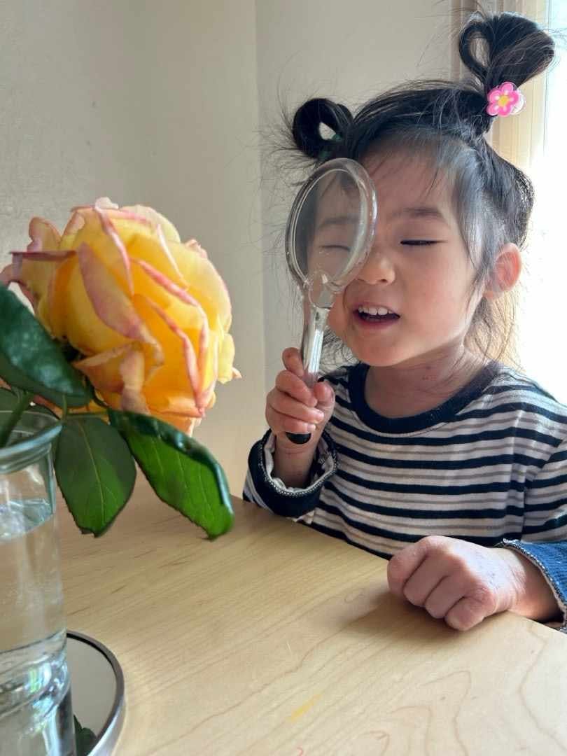 Child looking through a magnifying glass at a rose