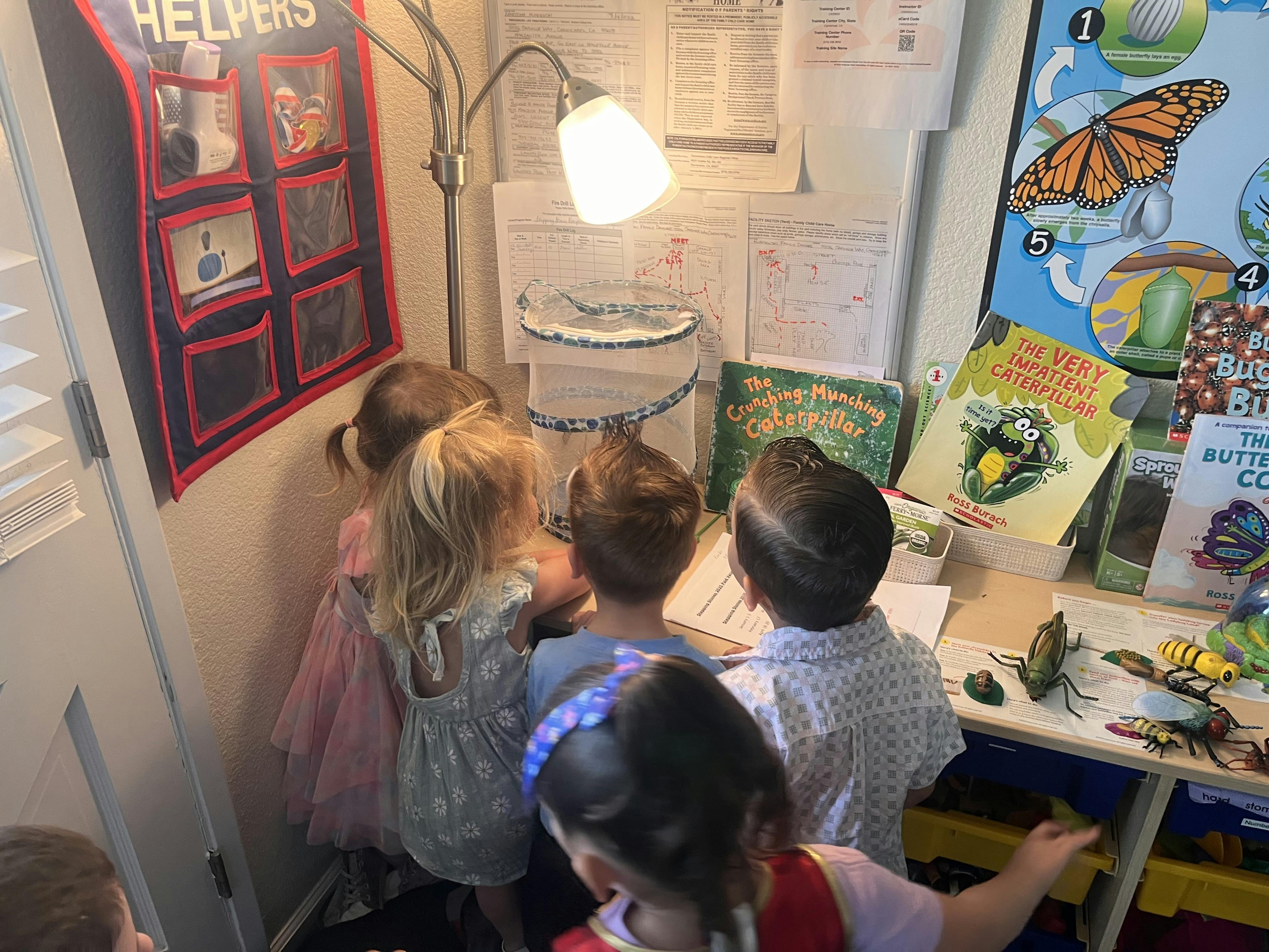 Children gathered around a butterfly habitat in a classroom