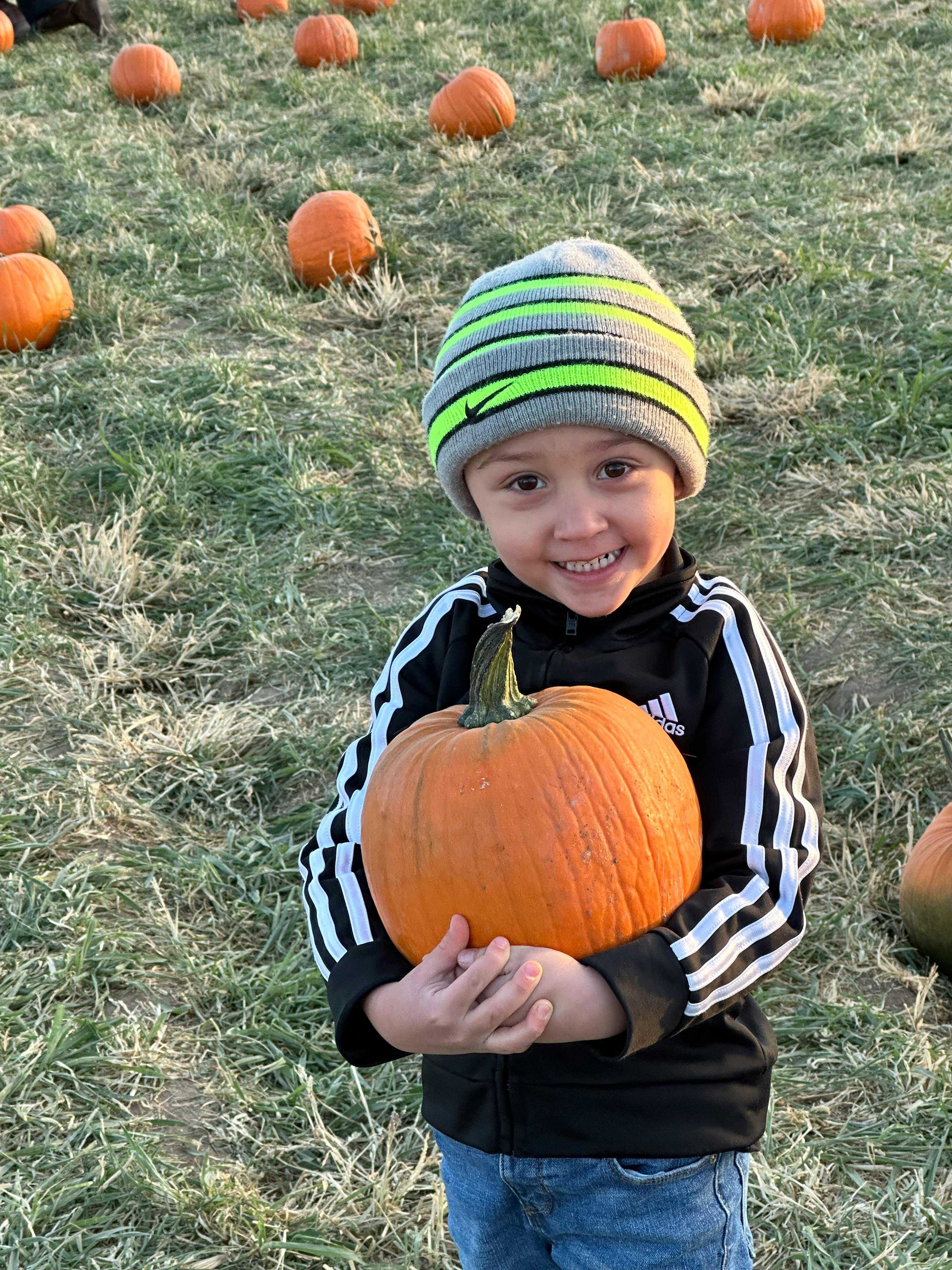 Child holding a pumpkin in a field