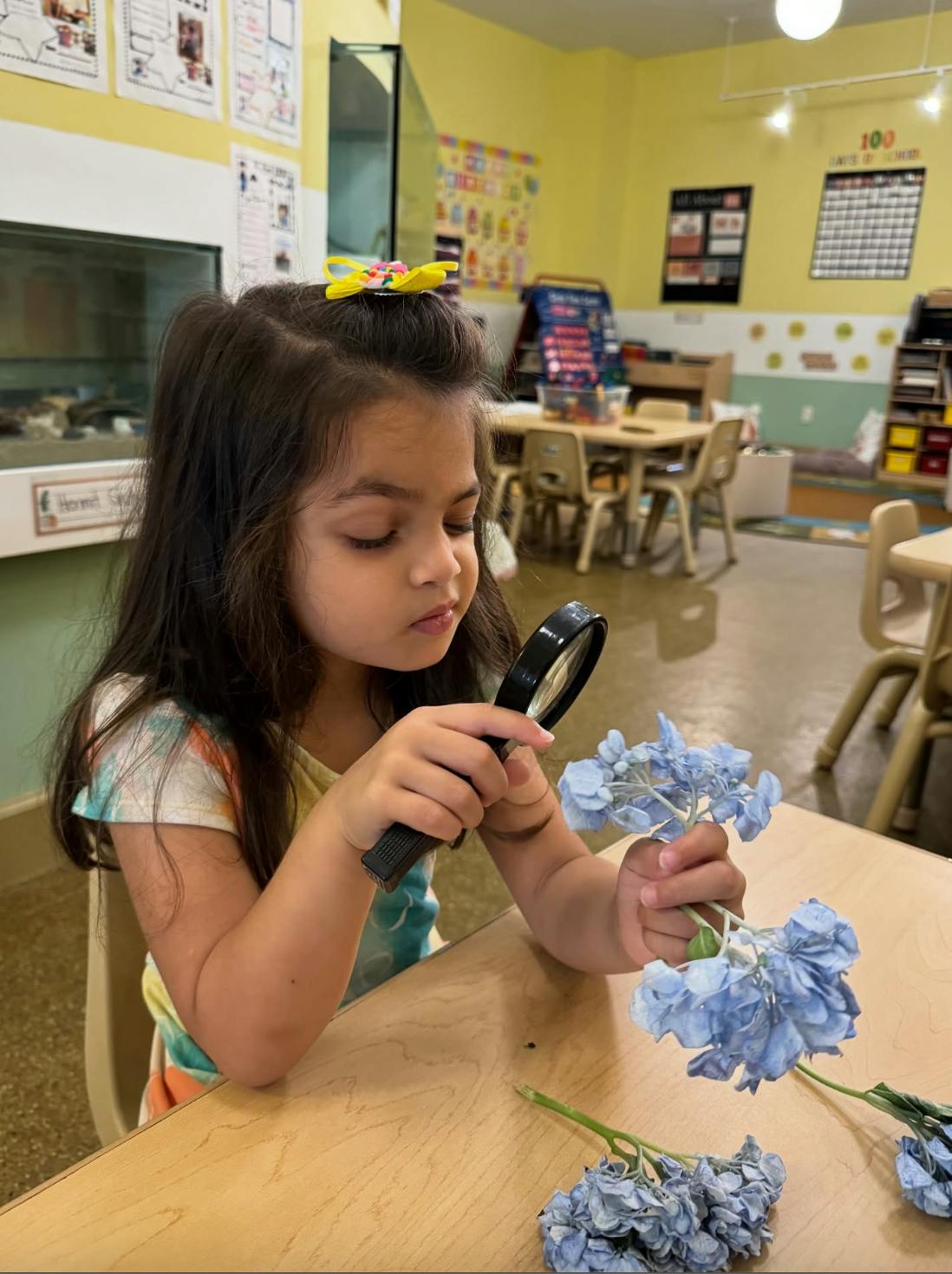 Child examining a blue flower with a magnifying glass in a classroom