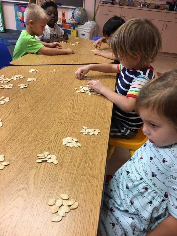 Children at a table sorting pumpkin seeds