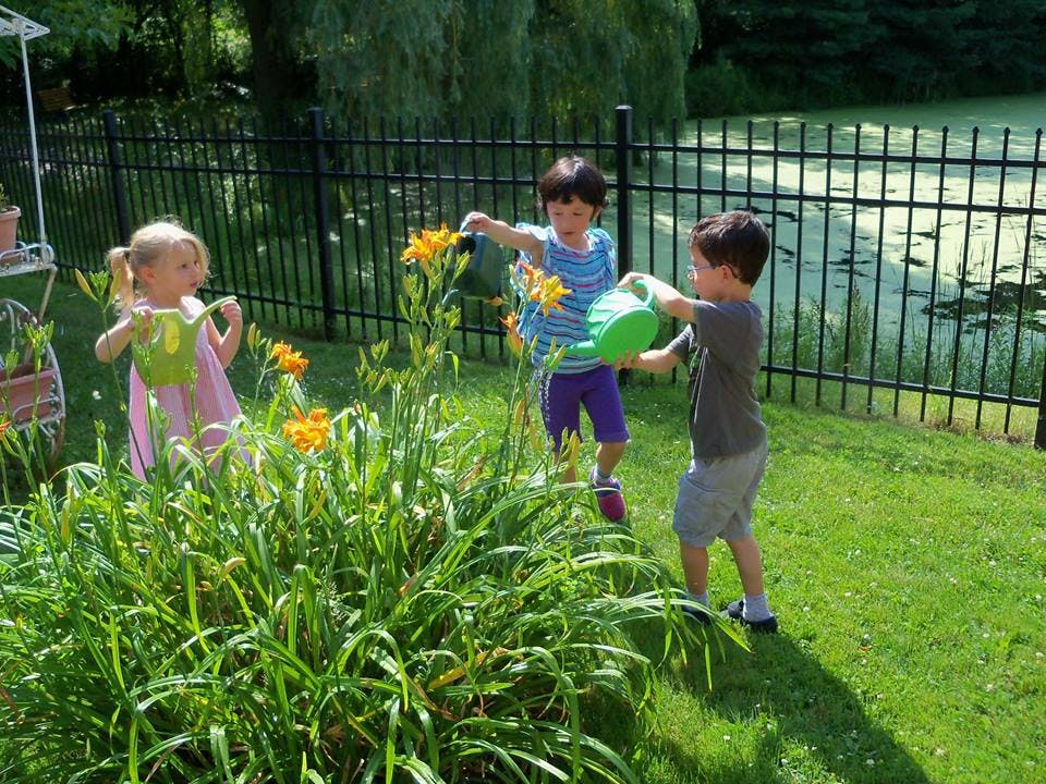 Three children watering plants in a garden