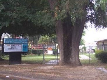 Large tree next to a sign for a child development program