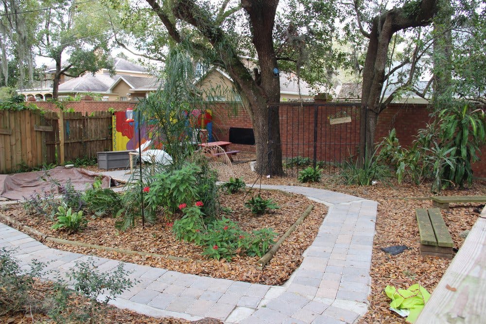 Garden with a winding path and wood chip ground cover