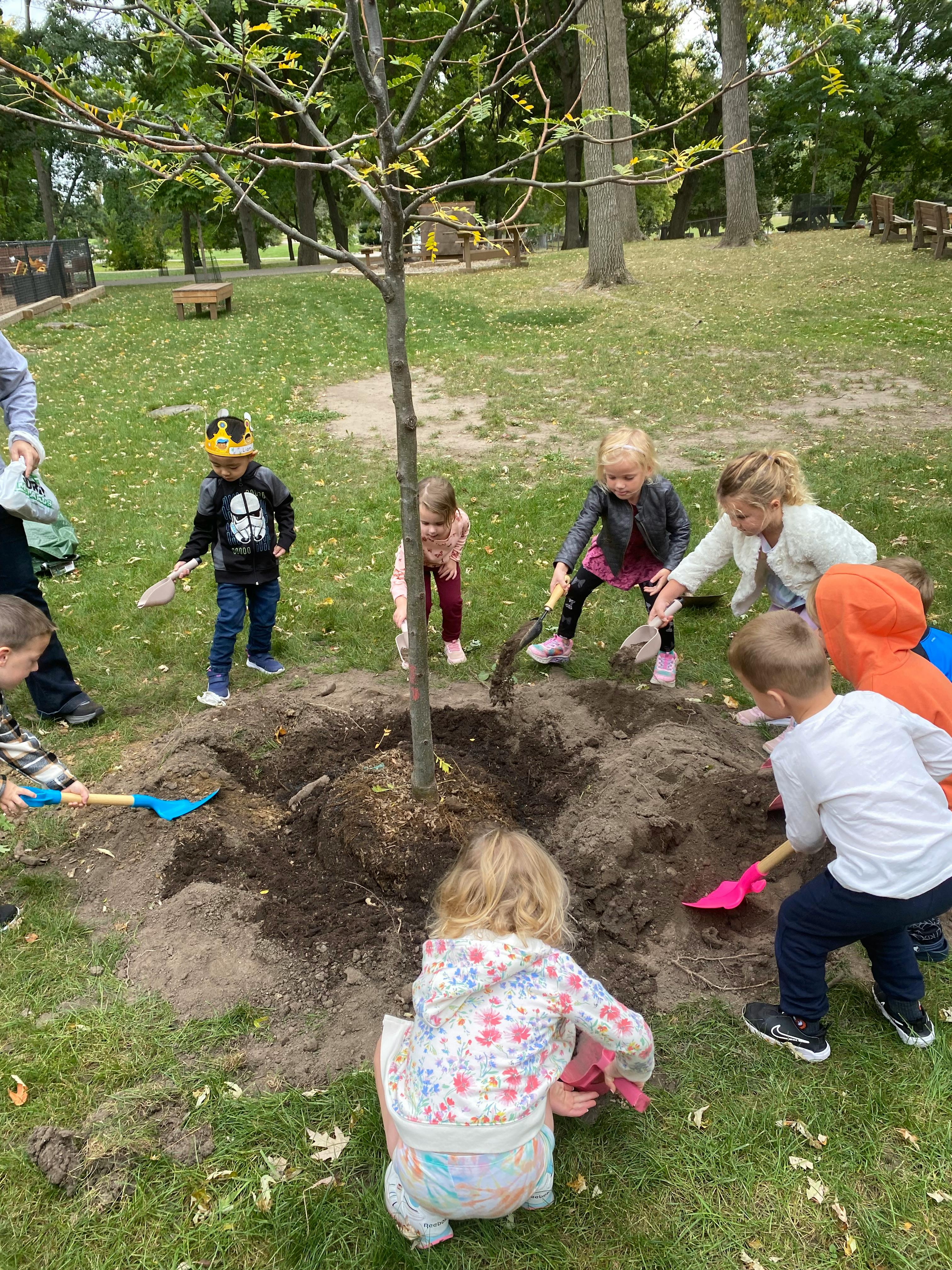 Children and adults planting a tree in a grassy area