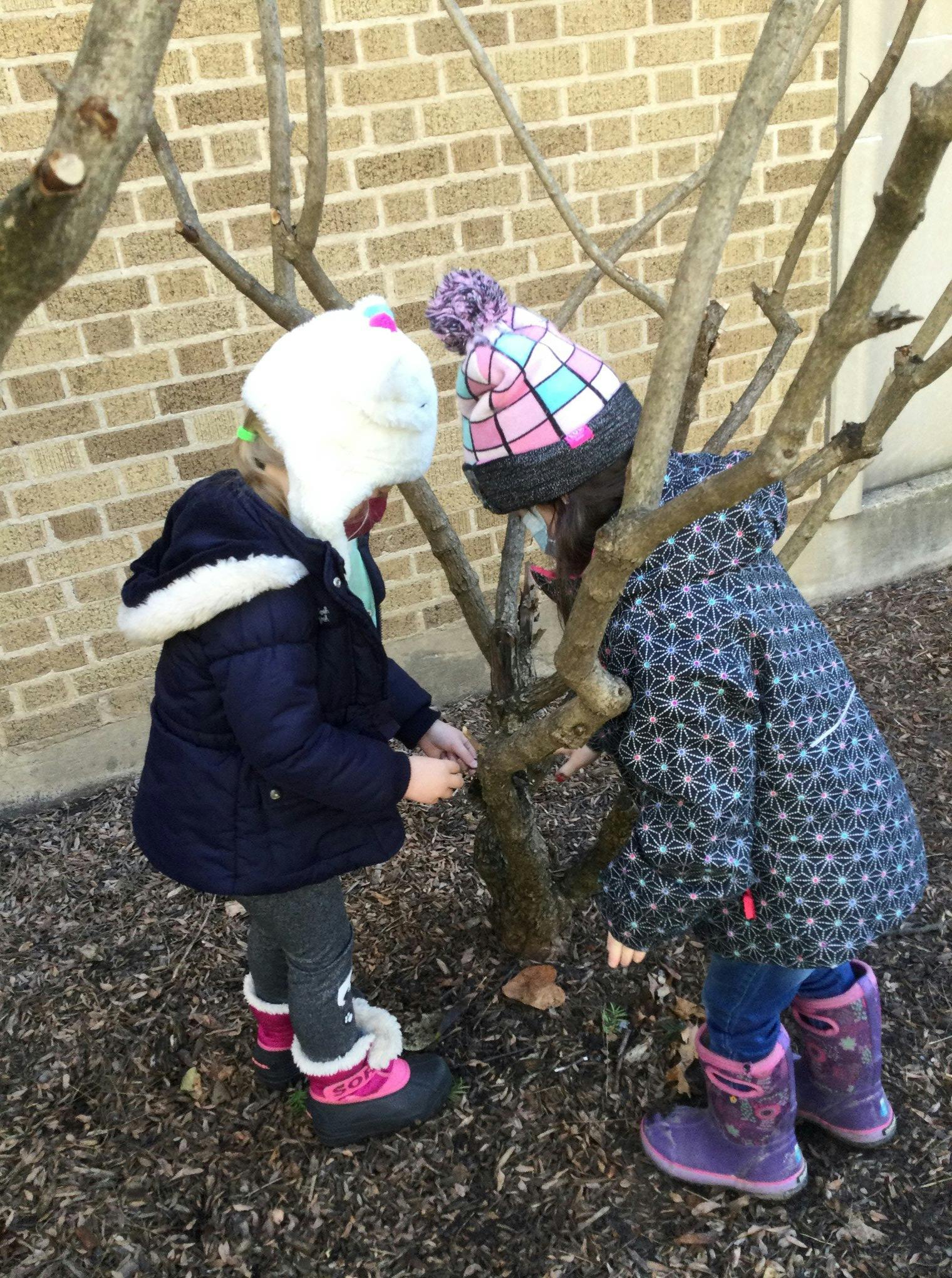 Two children in winter clothing looking at a small tree