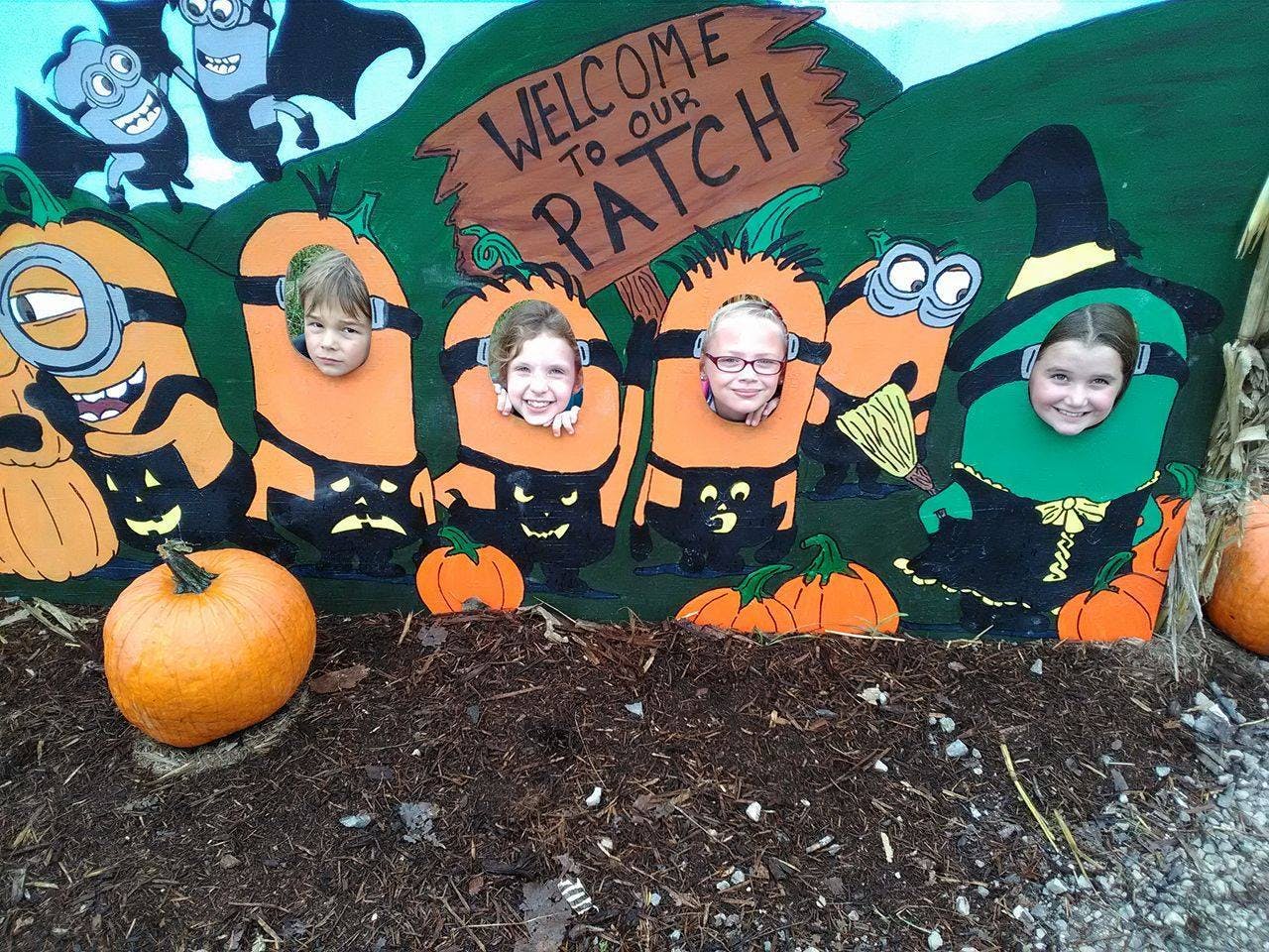 Four children posing in Halloween-themed cutouts at a pumpkin patch