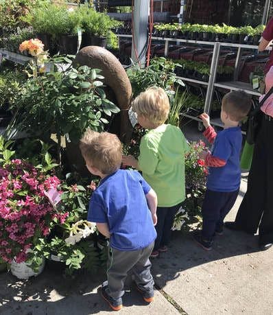Three children looking at plants in a garden center