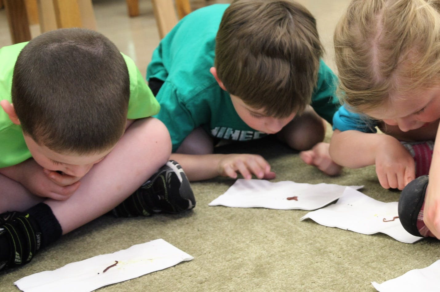 Children observing worms on paper towels