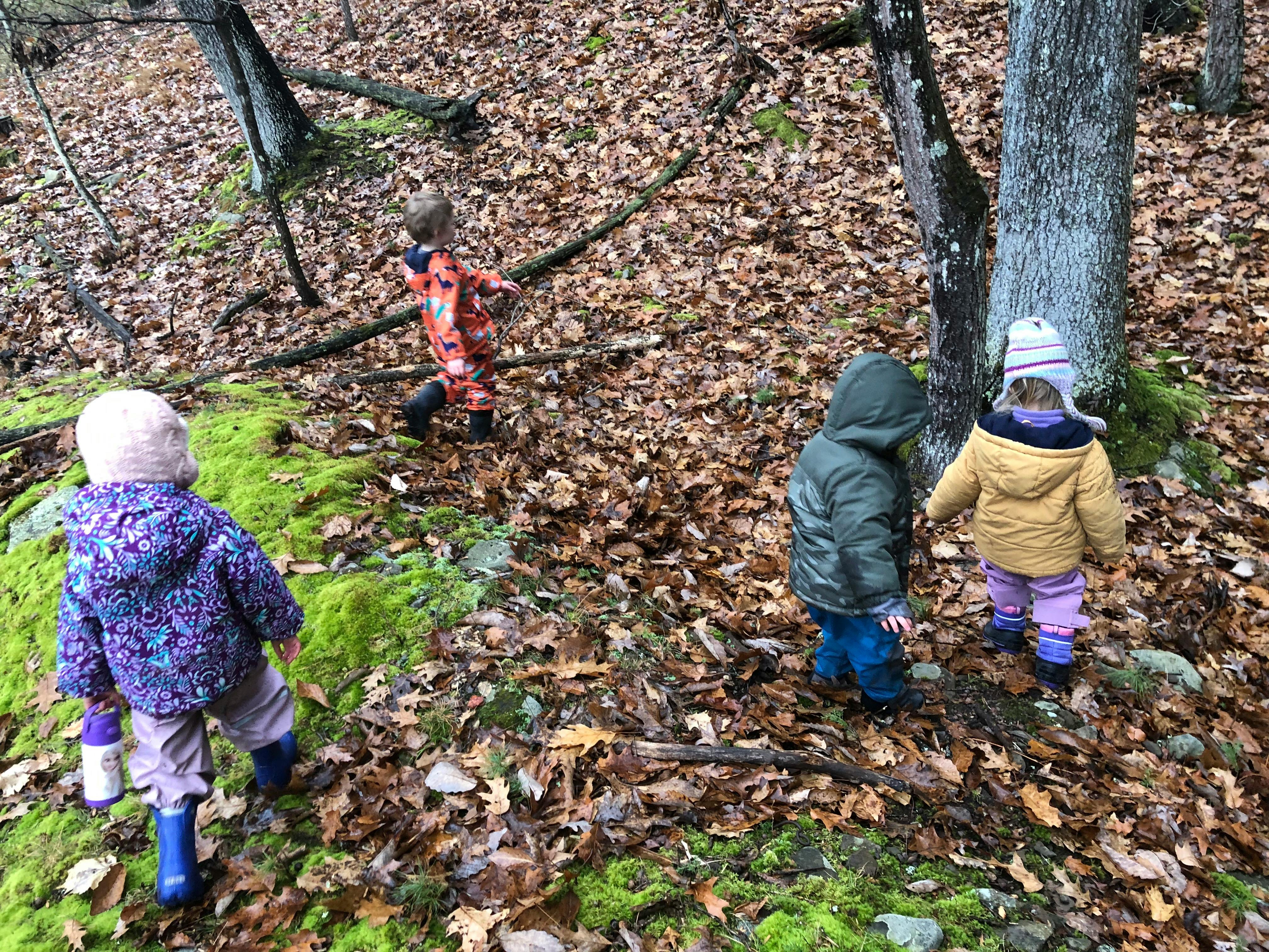 Four children walking through a forest with fallen leaves and moss
