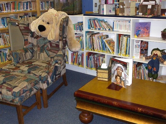 Stuffed dog on an armchair in a library with bookshelves